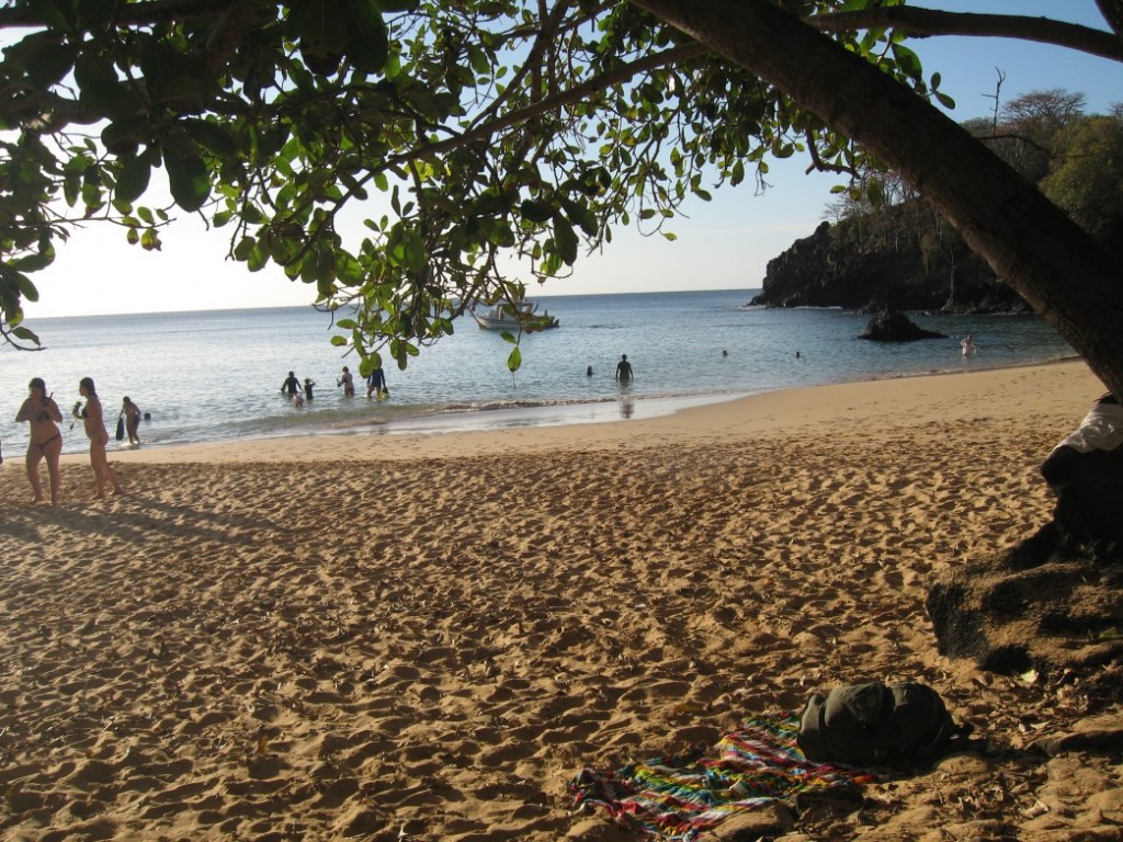 Fernando de Noronha - 2624